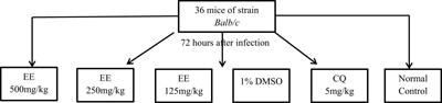 In vitro and in vivo antimalarial activities of the ethanol extract of Erythrina sigmoidea stem bark used for the treatment of malaria in the Western Region of Cameroon